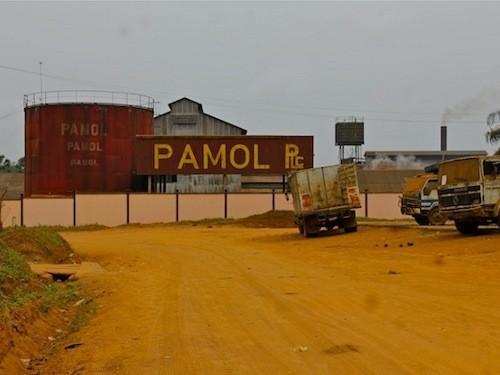 Qui sont les 5 investisseurs camerounais en passe de racheter Sosucam