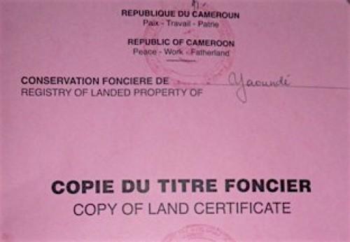 Qui sont les 5 investisseurs camerounais en passe de racheter Sosucam