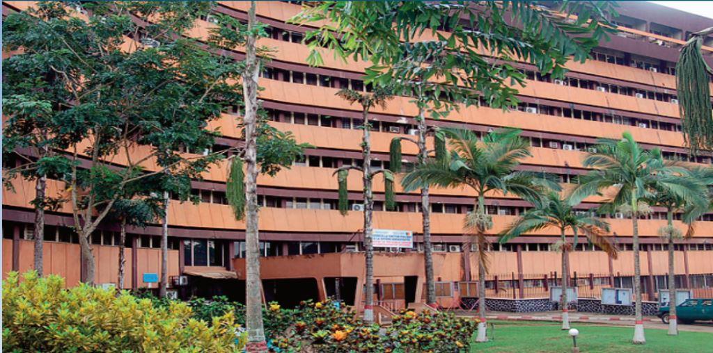 Qui sont les 5 investisseurs camerounais en passe de racheter Sosucam