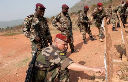 Cameroun : Le Francais SOMDIAA, détenu par Castel, veut vendre ses actions dans la SOSUCAM