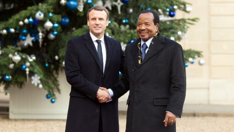 Que retenir de la campagne cacaoyère 2025/2026 au Cameroun ?