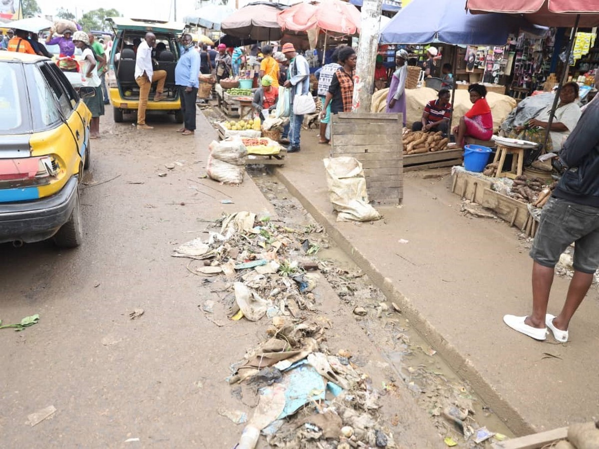 Que retenir de la campagne cacaoyère 2025/2026 au Cameroun ?