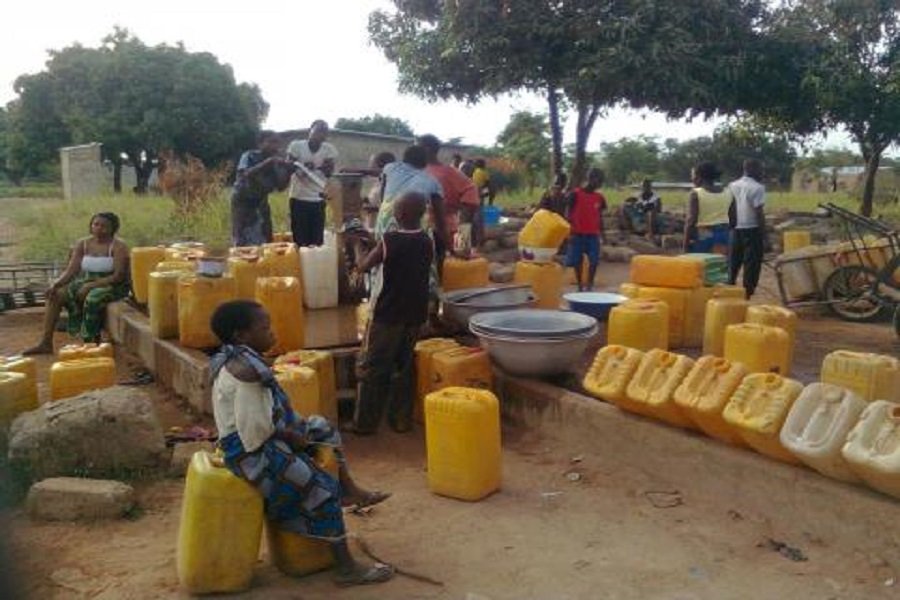 Que retenir de la campagne cacaoyère 2025/2026 au Cameroun ?