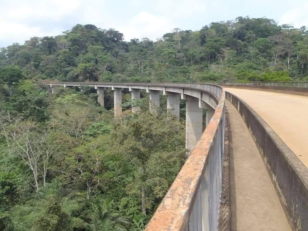 Que retenir de la campagne cacaoyère 2025/2026 au Cameroun ?