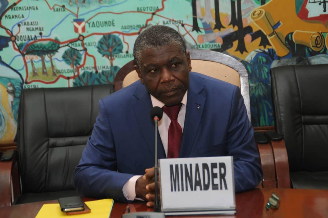 Cameroun : Le Francais SOMDIAA, détenu par Castel, veut vendre ses actions dans la SOSUCAM