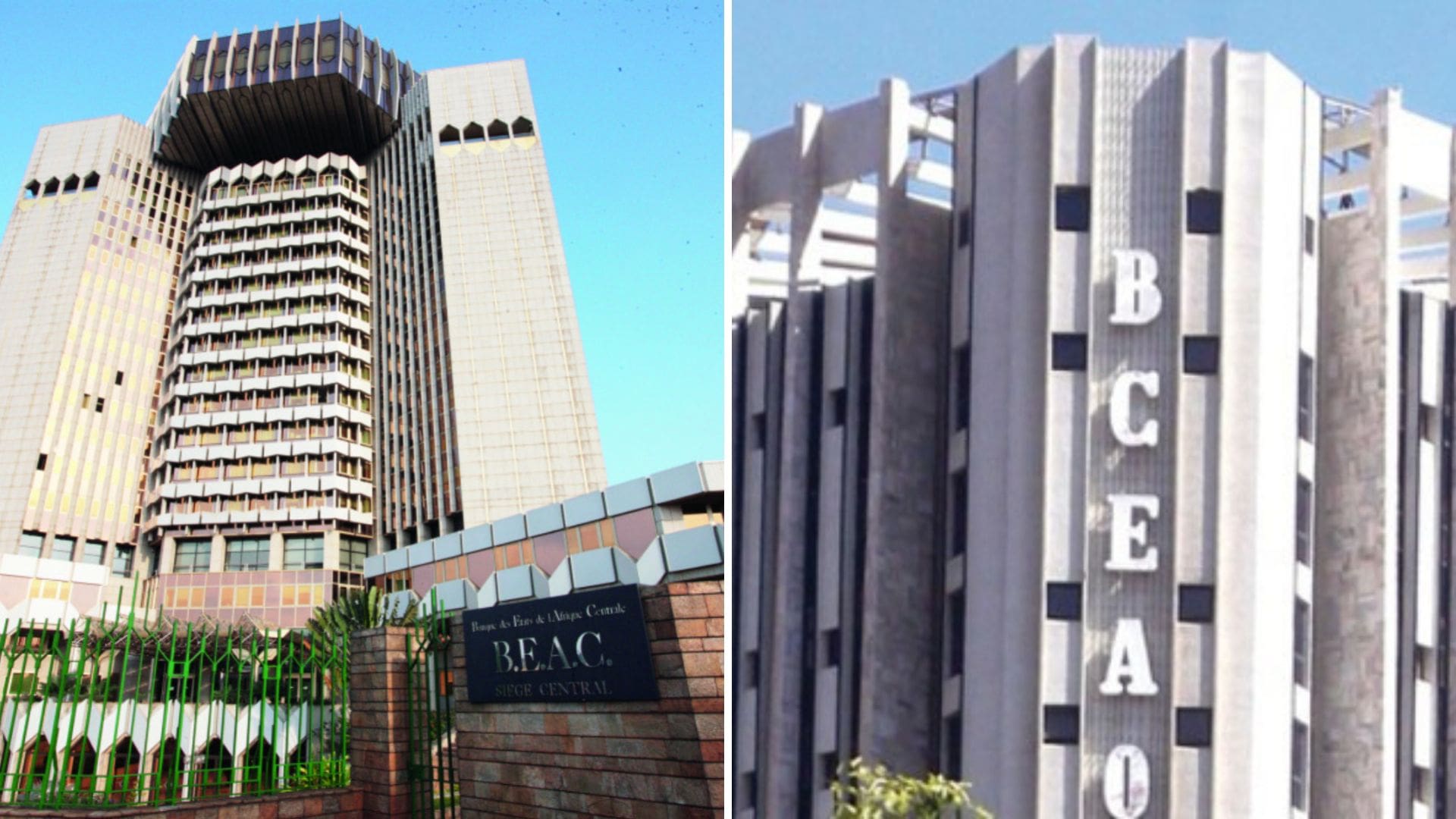 Qui sont les 5 investisseurs camerounais en passe de racheter Sosucam