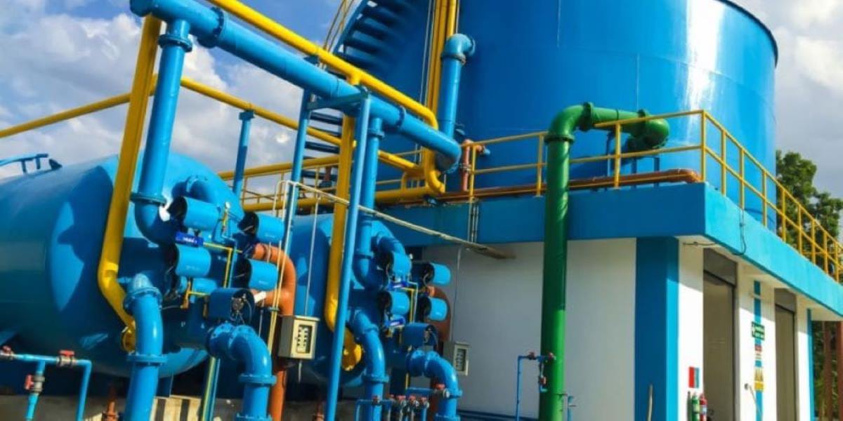 Qui sont les 5 investisseurs camerounais en passe de racheter Sosucam