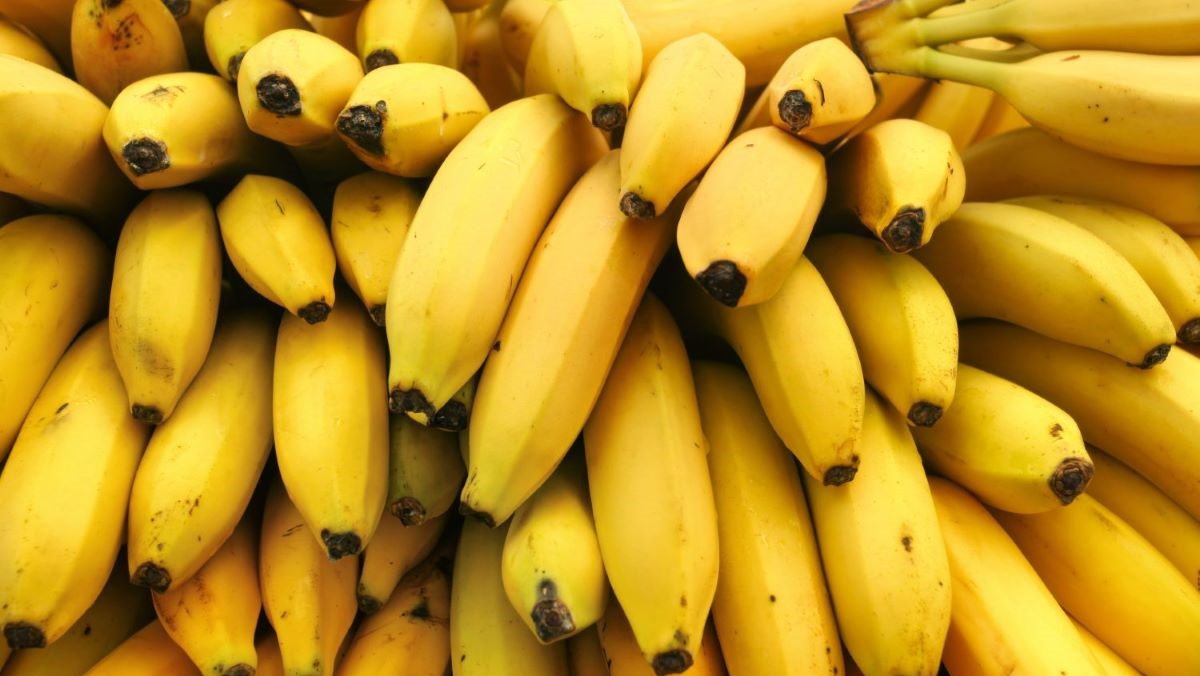 Qui sont les 5 investisseurs camerounais en passe de racheter Sosucam