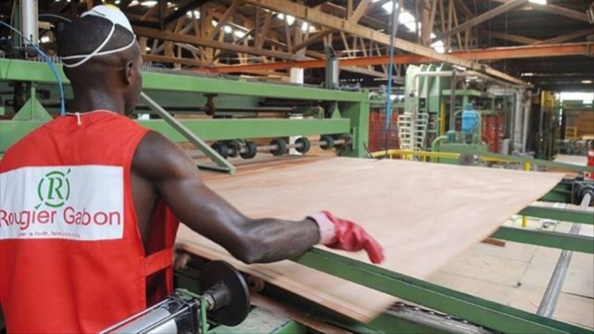 Filière bois : Pourquoi le Gabon quitte le capital de Rougier Afrique ...