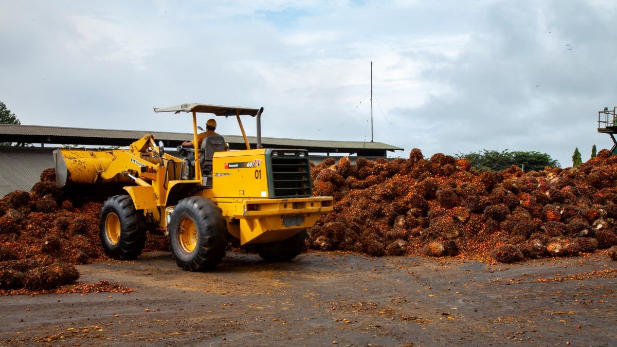 Cameroun : Le Francais SOMDIAA, détenu par Castel, veut vendre ses actions dans la SOSUCAM