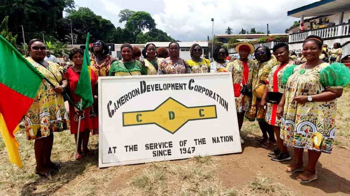 Qui sont les 5 investisseurs camerounais en passe de racheter Sosucam
