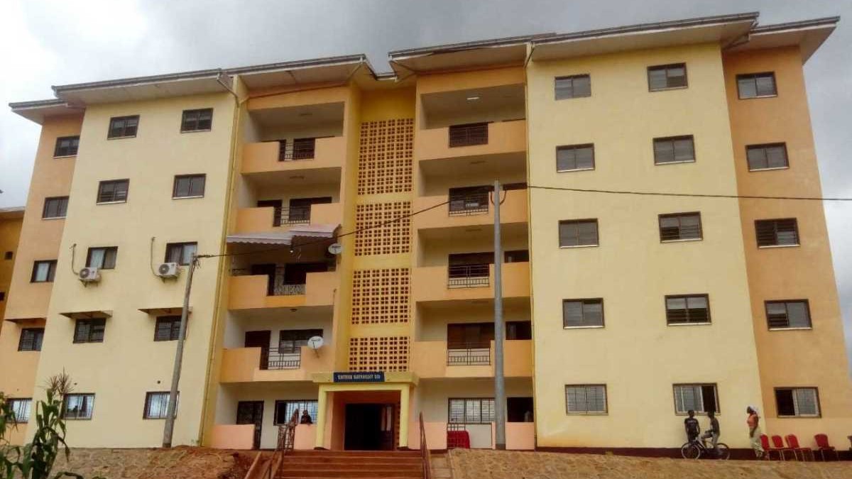 Que retenir de la campagne cacaoyère 2025/2026 au Cameroun ?