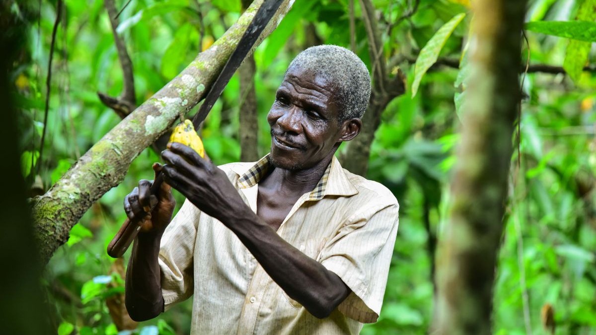Qui sont les 5 investisseurs camerounais en passe de racheter Sosucam