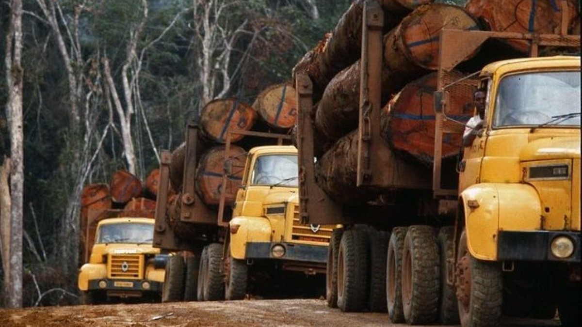 Qui sont les 5 investisseurs camerounais en passe de racheter Sosucam