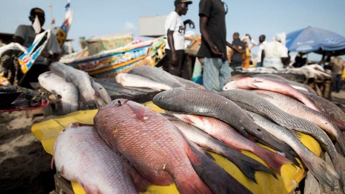 Qui sont les 5 investisseurs camerounais en passe de racheter Sosucam