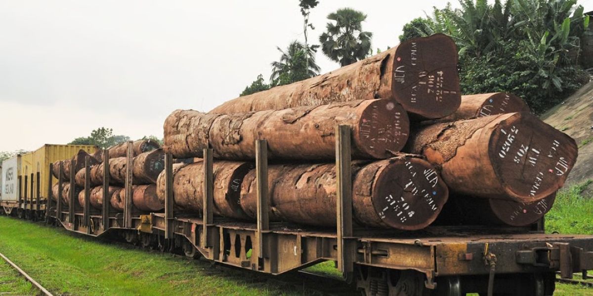 Qui sont les 5 investisseurs camerounais en passe de racheter Sosucam