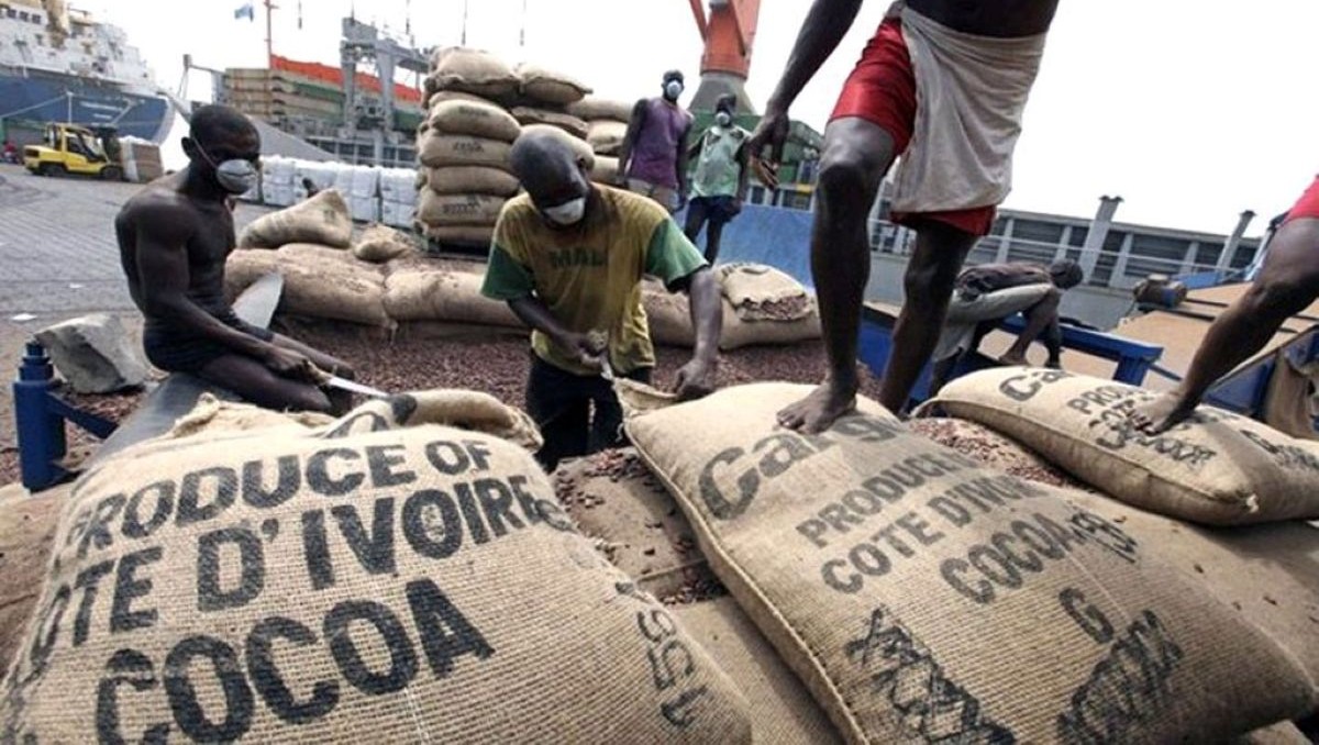 Qui sont les 5 investisseurs camerounais en passe de racheter Sosucam