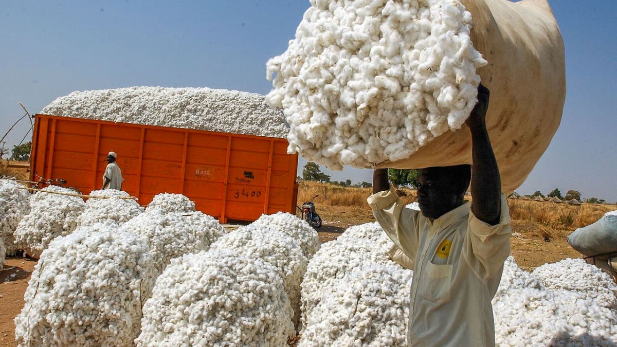 Qui sont les 5 investisseurs camerounais en passe de racheter Sosucam