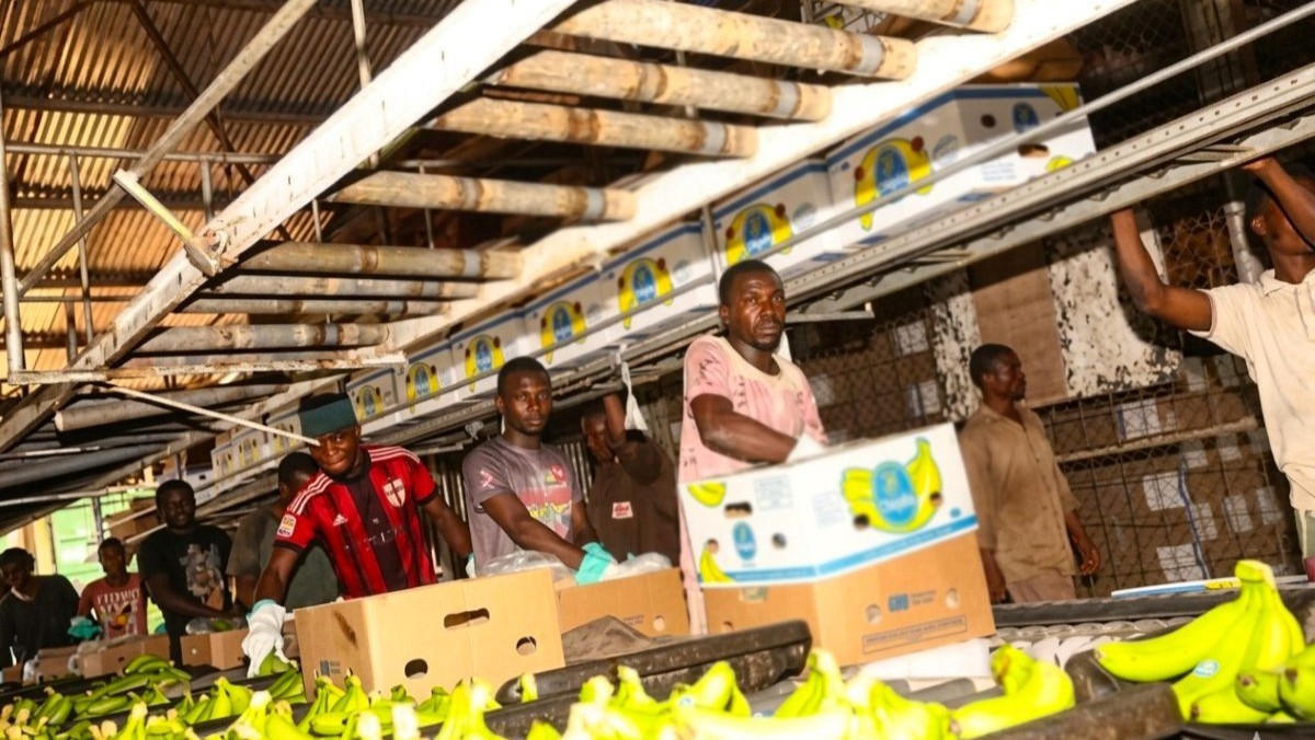 Qui sont les 5 investisseurs camerounais en passe de racheter Sosucam