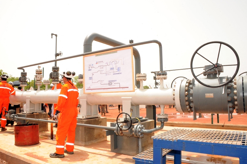 Qui sont les 5 investisseurs camerounais en passe de racheter Sosucam