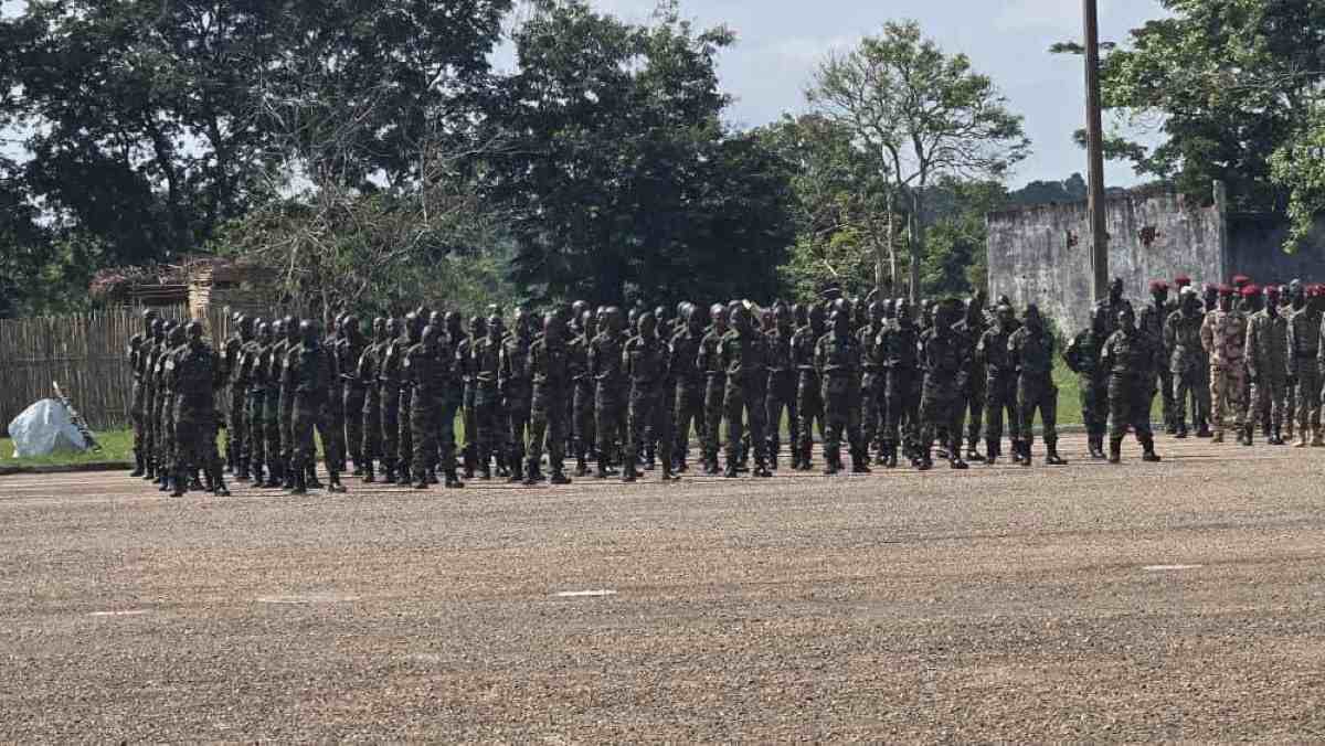 Qui sont les 5 investisseurs camerounais en passe de racheter Sosucam