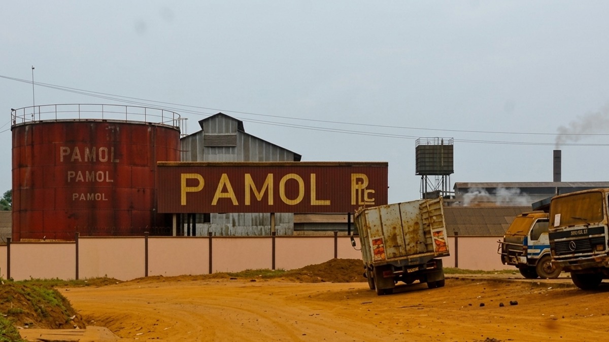 Qui sont les 5 investisseurs camerounais en passe de racheter Sosucam