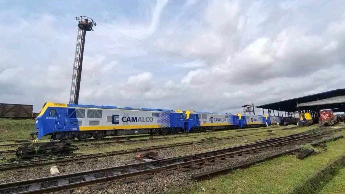 Qui sont les 5 investisseurs camerounais en passe de racheter Sosucam